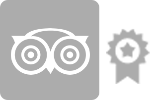 tripadvisor grey
